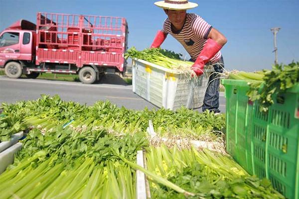 东莞农产品配送怎么增加盈利方式