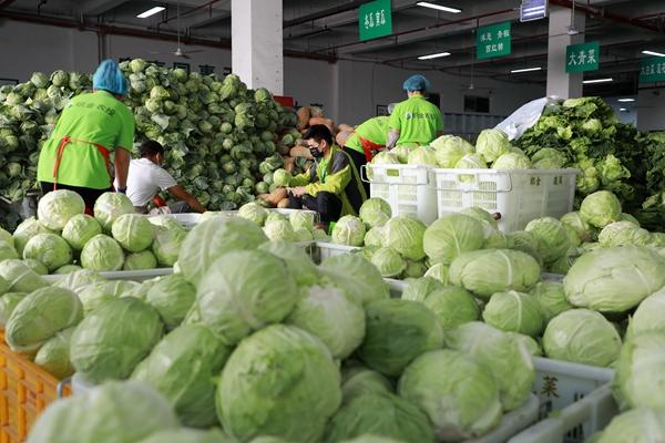 东莞蔬菜配送公司分析生鲜供应分拣难点