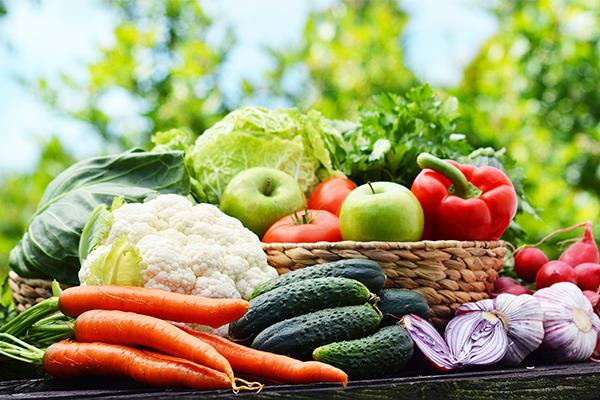 东莞农产品配送如何保持稳定供应