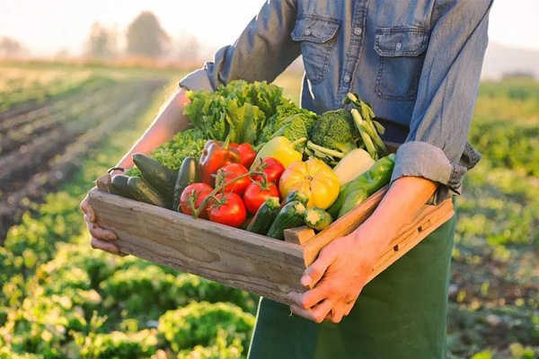 农产品配送方式需要注意什么