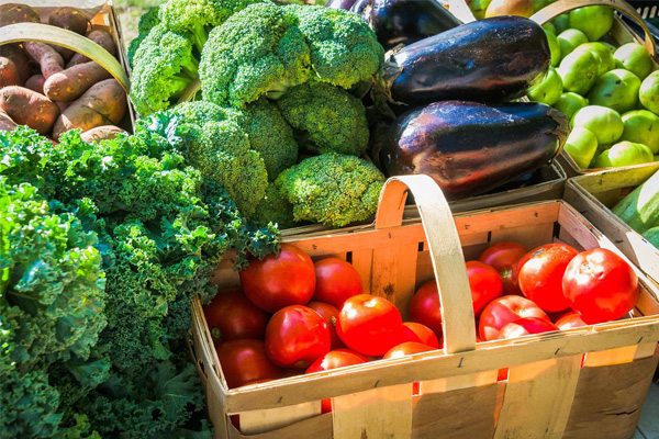 蔬菜配送业务，为何火遍各地